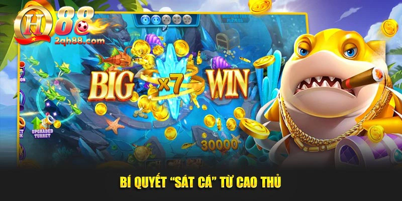 Bí quyết “sát cá” từ cao thủ