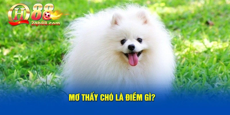 Mơ thấy chó là điềm gì?