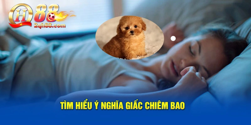 Tìm hiểu ý nghĩa giấc mộng